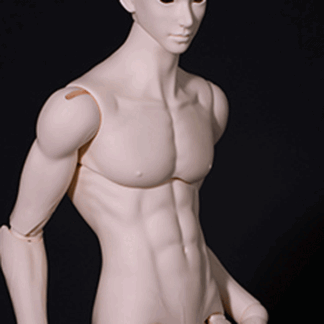 75cm Male Body