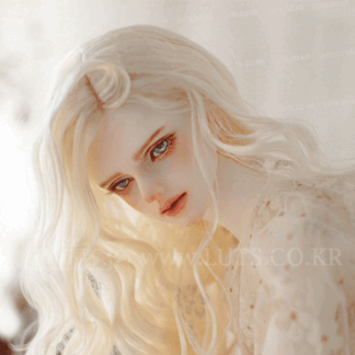 Super Senior Delf (71cm)