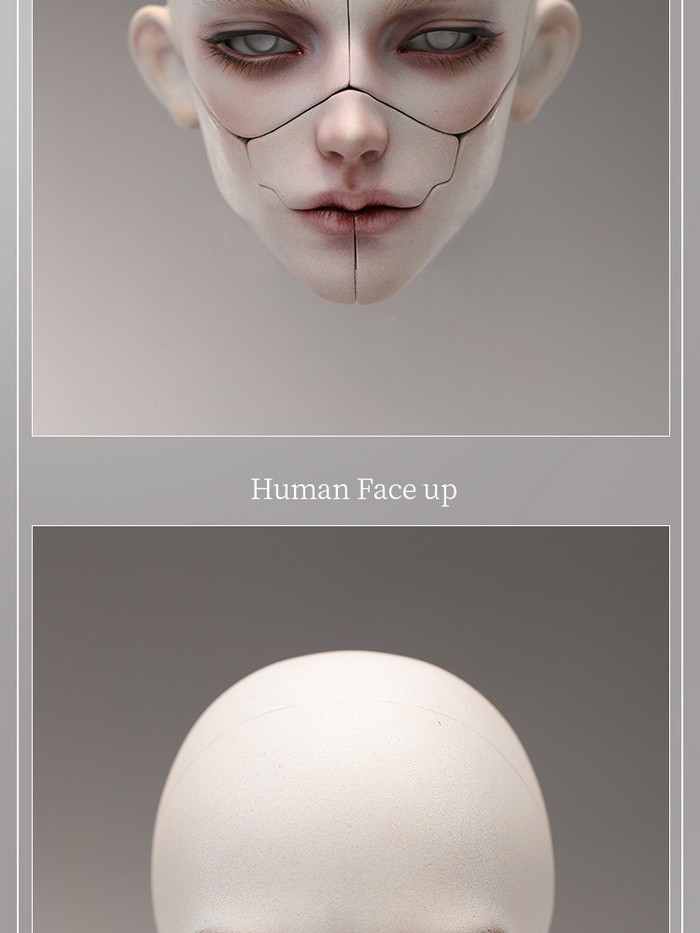 dollzone lucius robotica