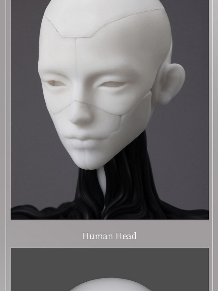 dollzone lucius robotica