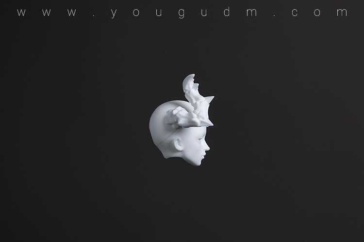 dream valley vex head