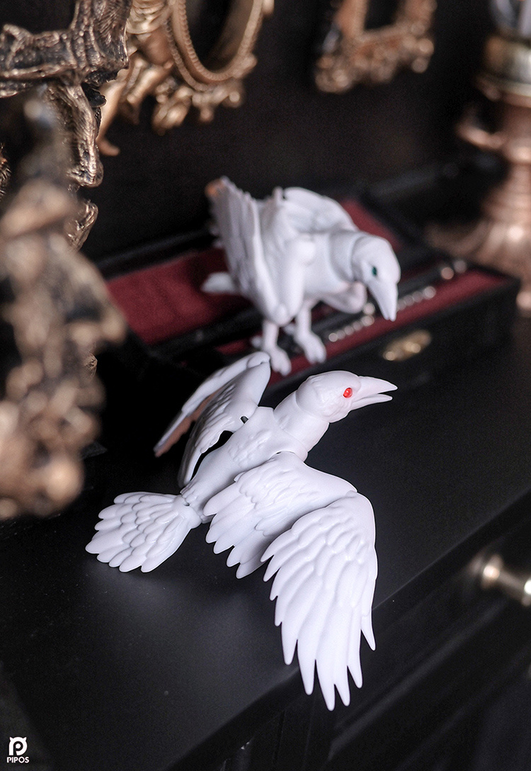 pipos white raven