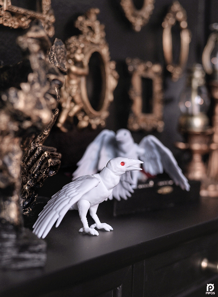 pipos white raven