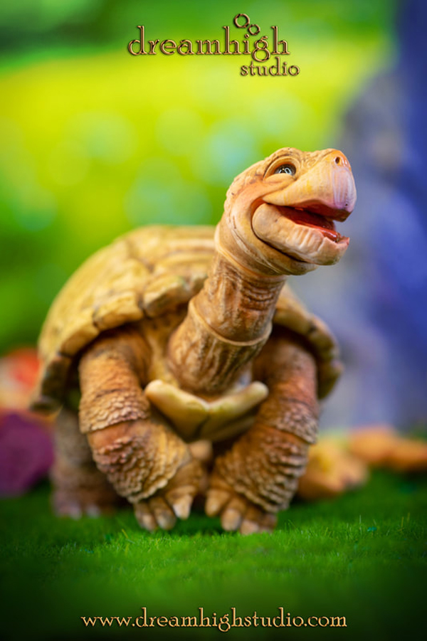dream high turtle snug scoops