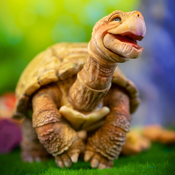 dream high turtle snug scoops