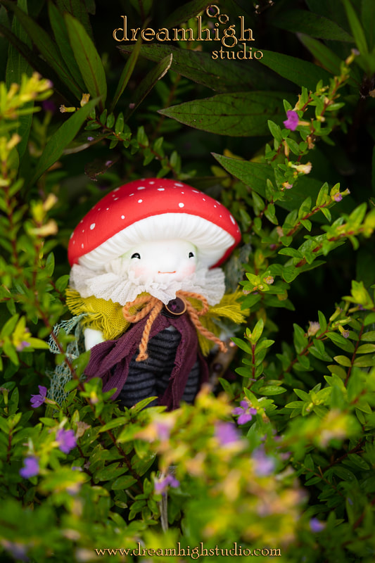 dreamhigh amanita root watcher