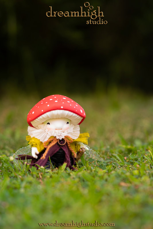 dreamhigh amanita root watcher