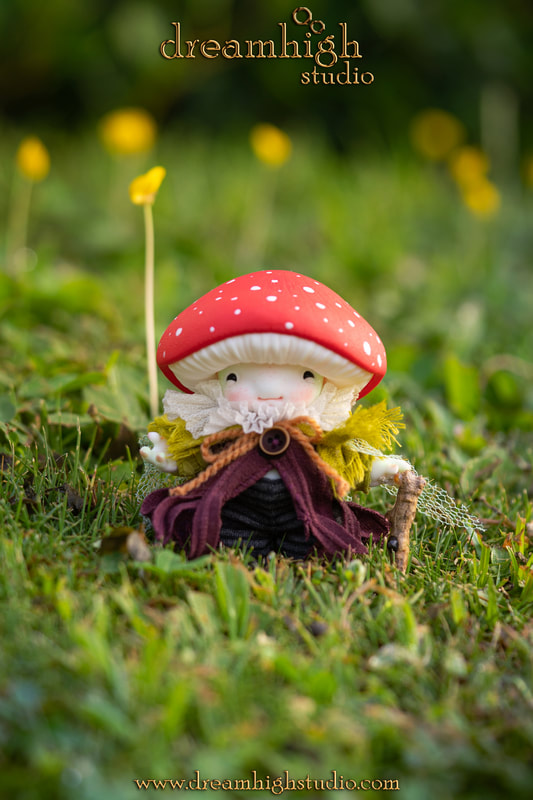 dreamhigh amanita root watcher