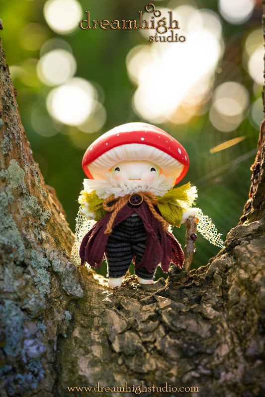 dreamhigh amanita root watcher