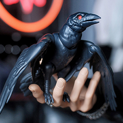 pipos black raven