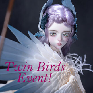 Dream Valley Event