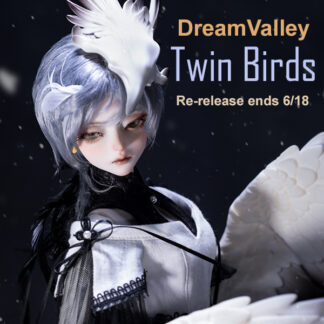 dream valley twin birds