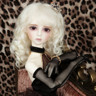 luts senior delf iris