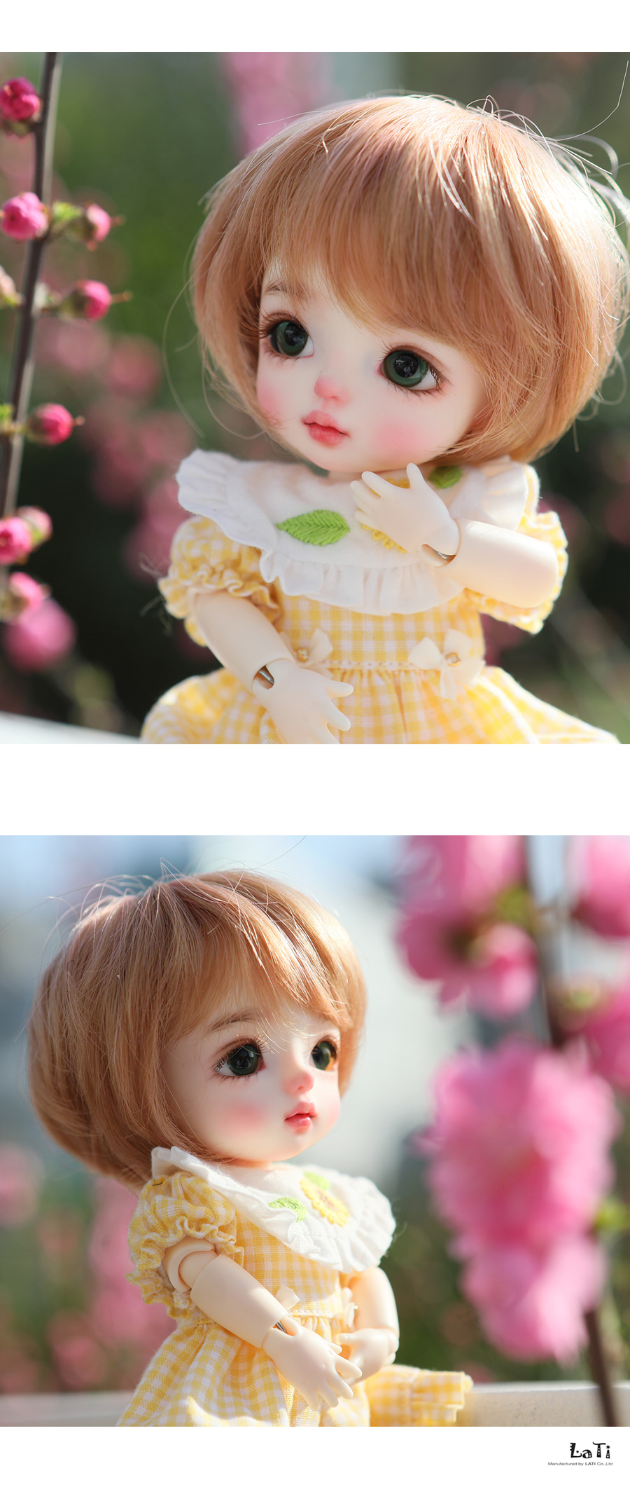 lati yellow cherry