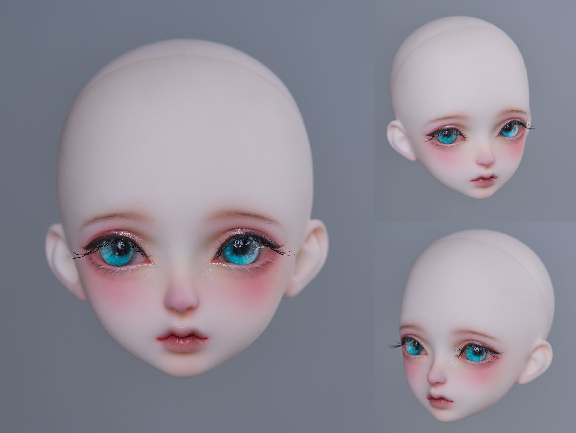 coral reef maid rabbit canele
