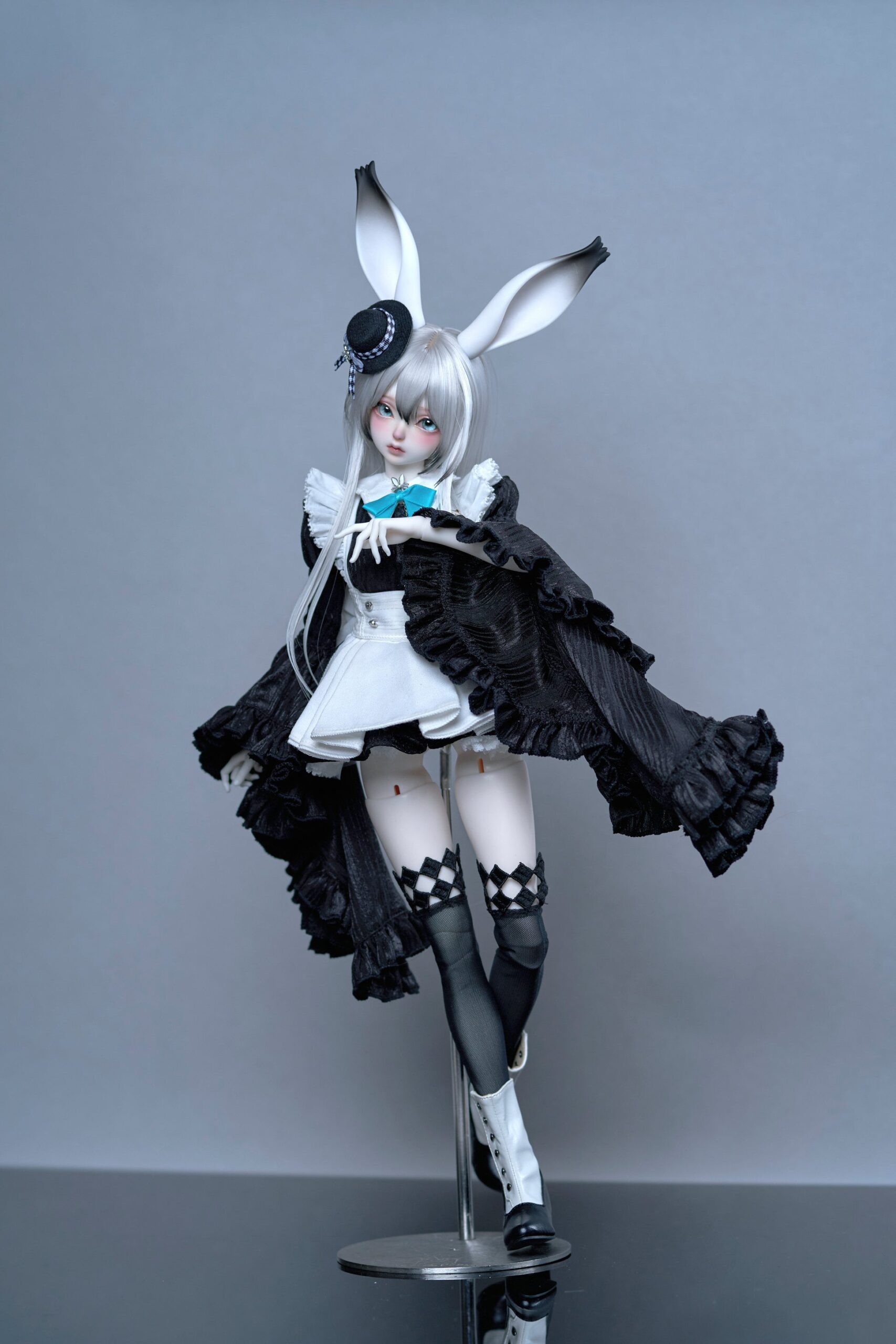 coral reef maid rabbit canele