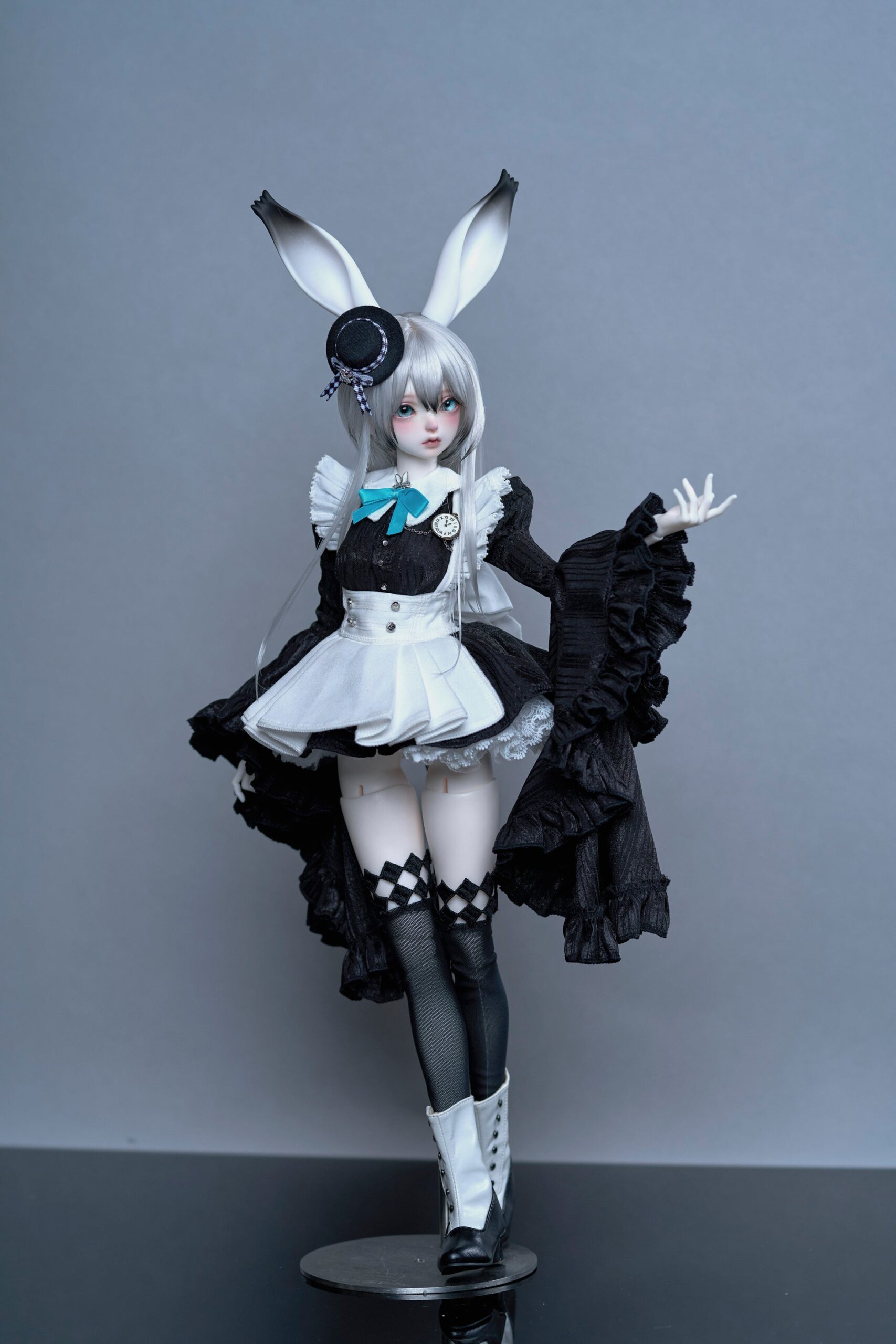 coral reef maid rabbit canele