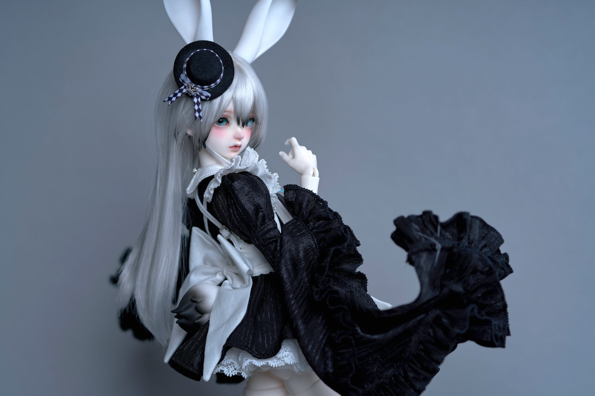 coral reef maid rabbit canele