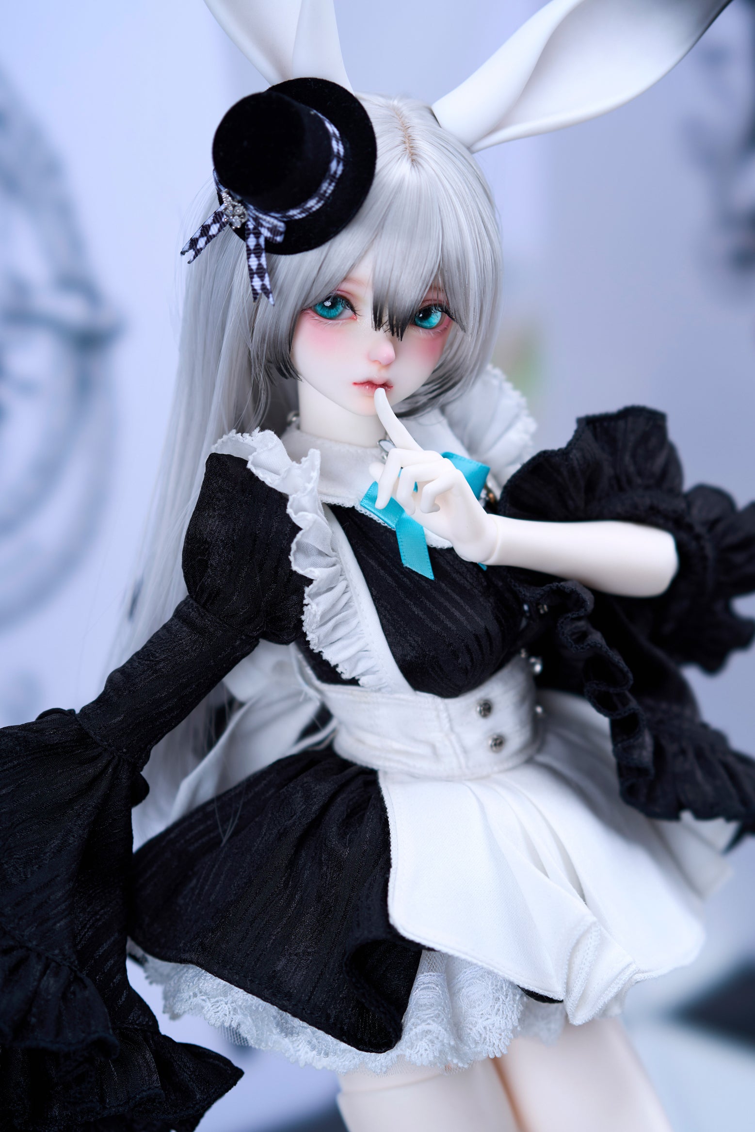 coral reef maid rabbit canele