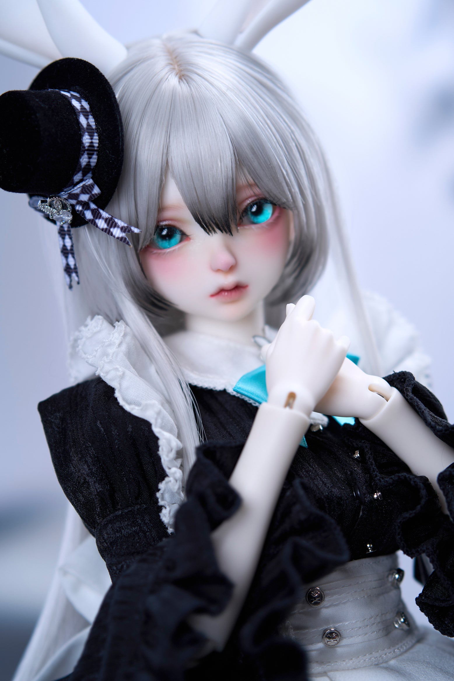 coral reef maid rabbit canele