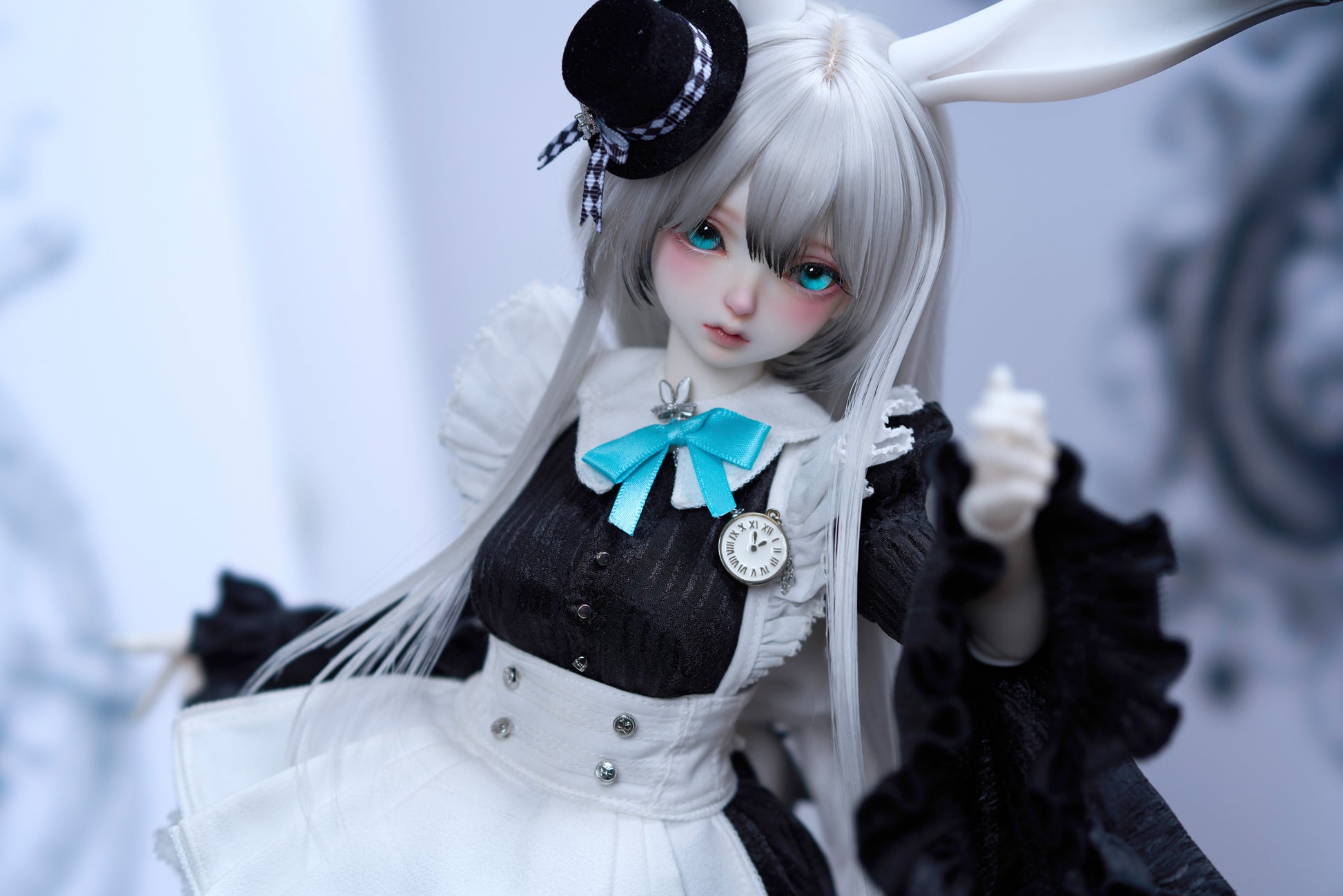 coral reef maid rabbit canele
