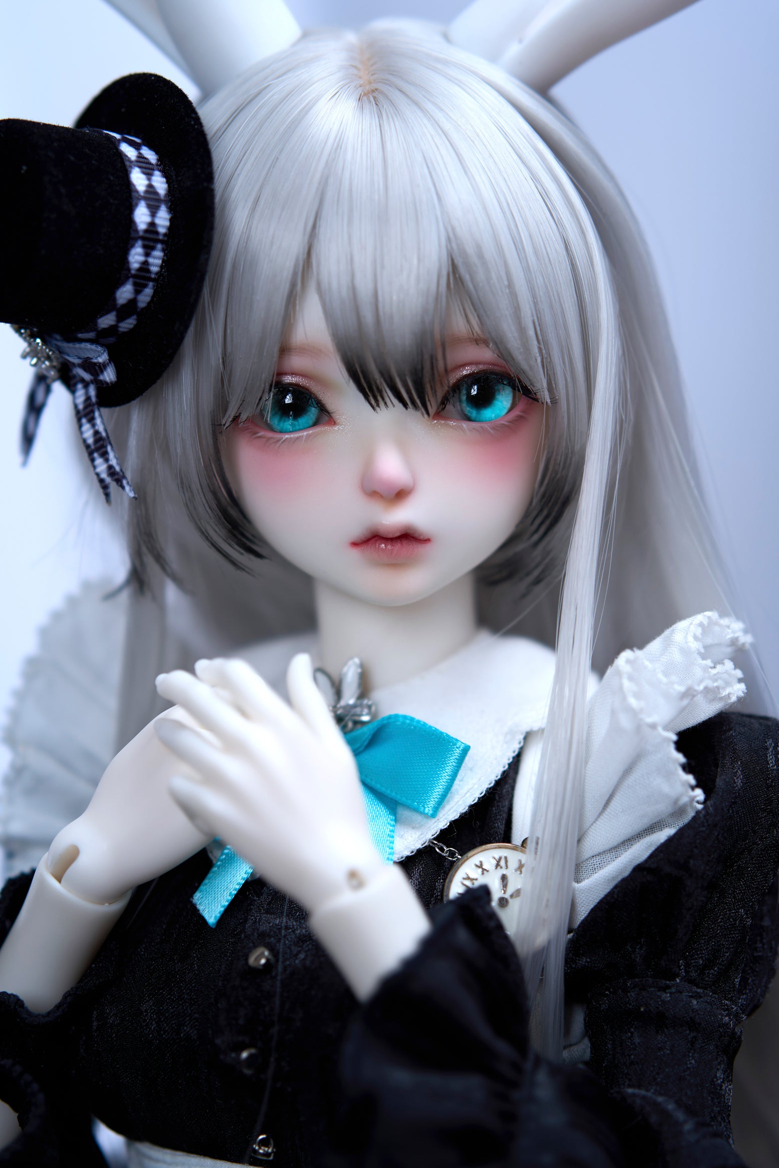 coral reef maid rabbit canele