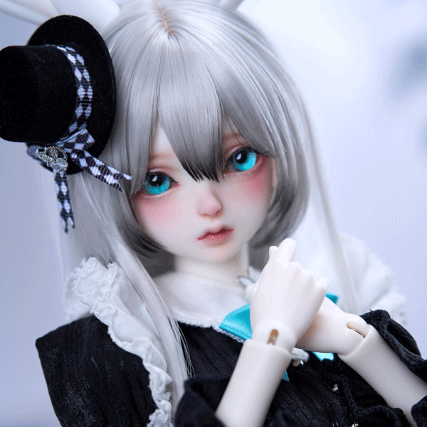 coral reef maid rabbit canele
