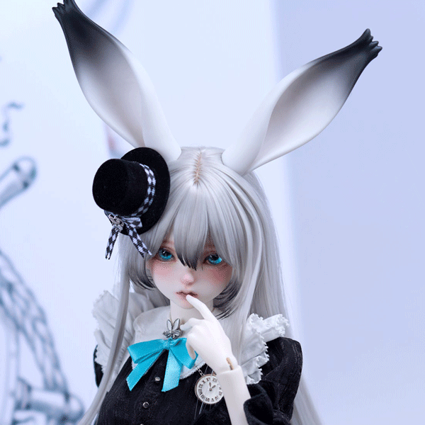 coral reef maid rabbit canele