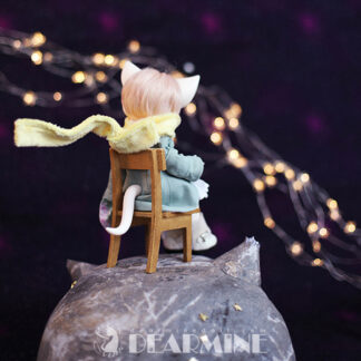 dearmine benjamin petite prince