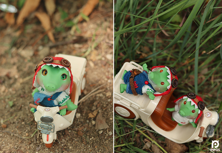 pipos summer crocodile