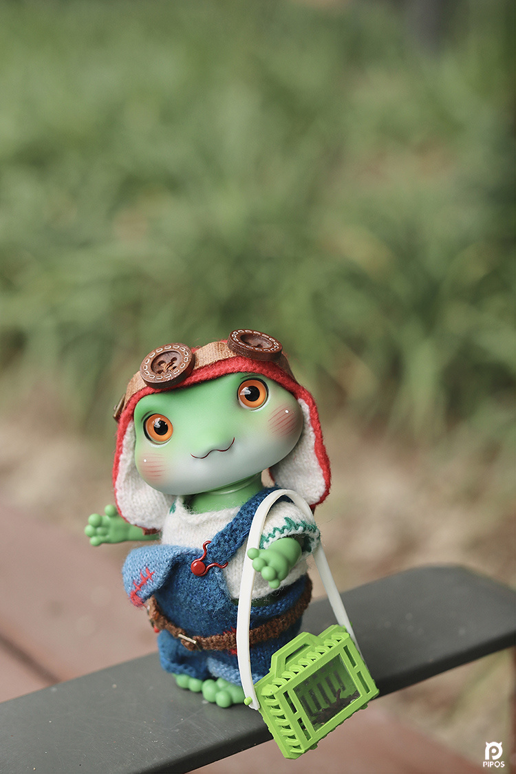 pipos summer frog