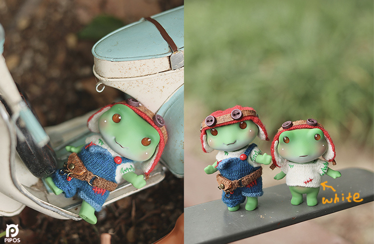pipos summer frog