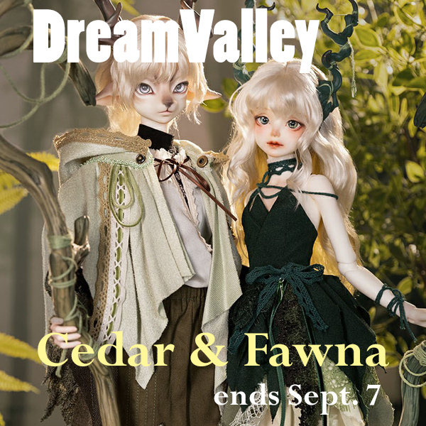 dream valley cedar fawna