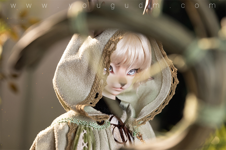 dream valley cedar