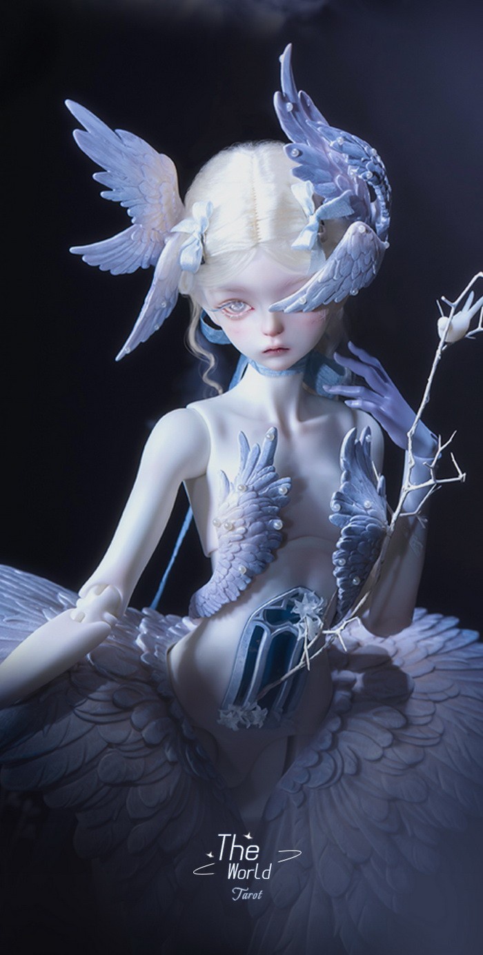 doll zone tarot the world