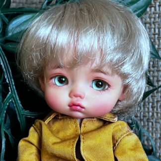 lati lisa boy full set