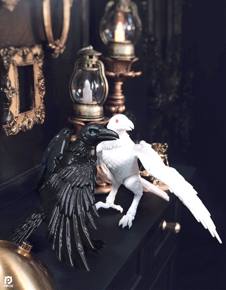 pipos raven snake
