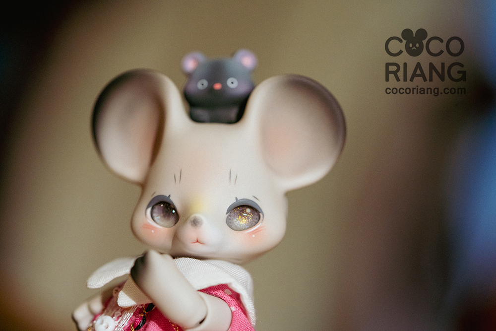 cocoriang mori grey