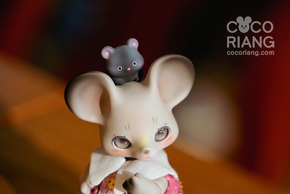 cocoriang mori grey