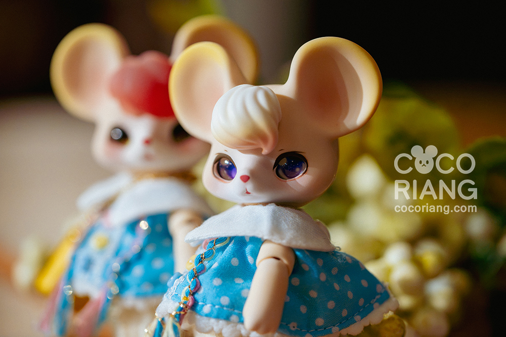 cocoriang mori cream corn