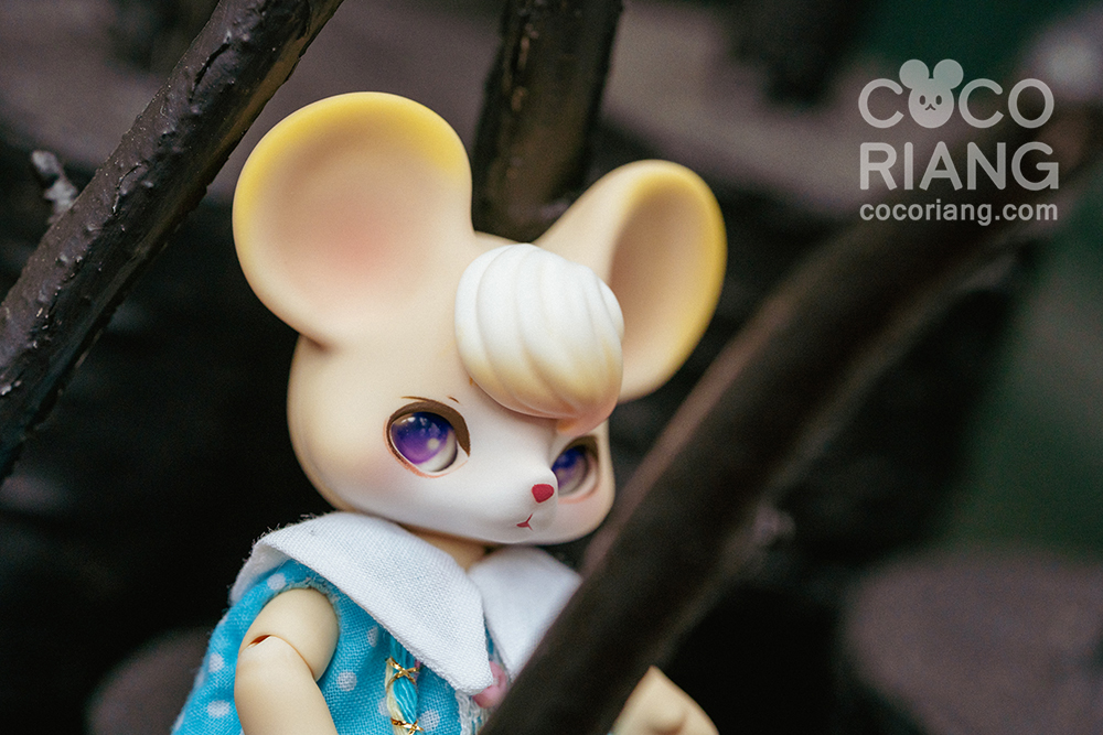 cocoriang mori cream corn