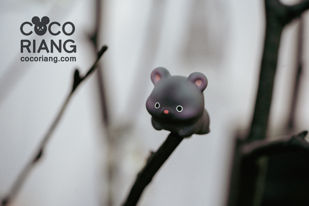 cocoriang hamster ham