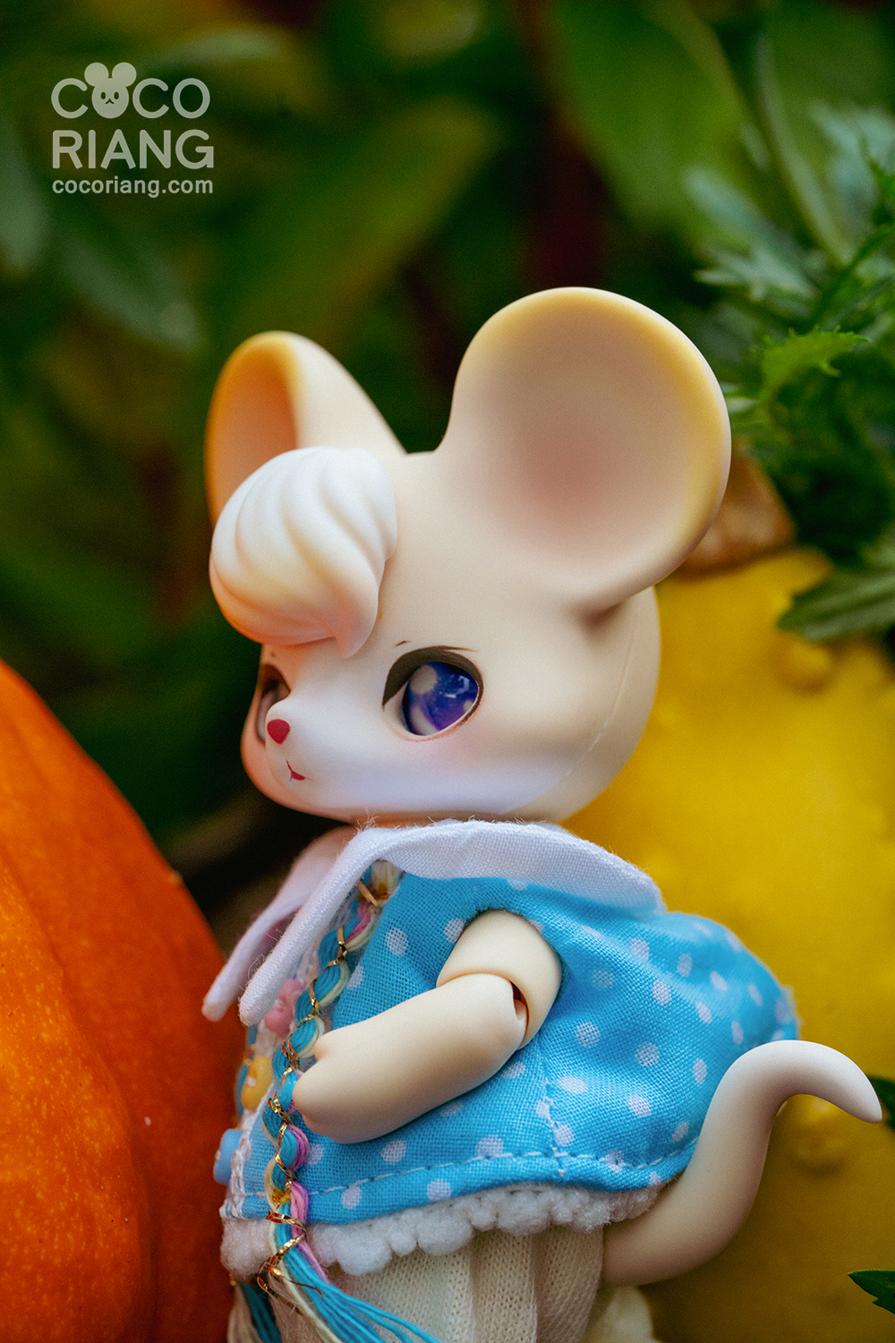 cocoriang mori cream corn
