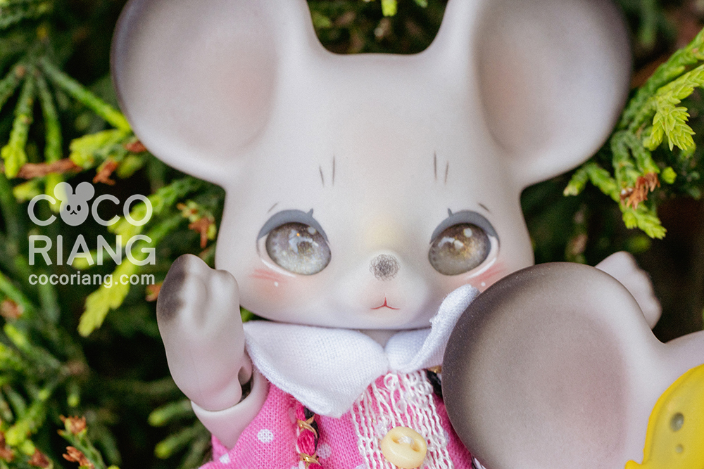 cocoriang mori grey