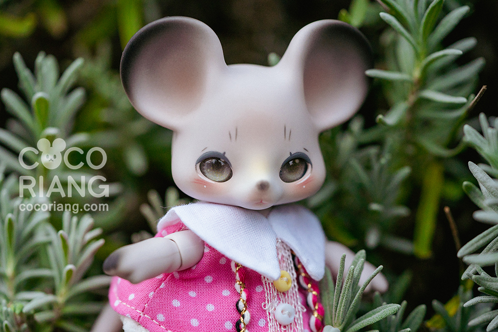 cocoriang mori grey