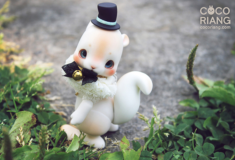 cocoriang cheeriya