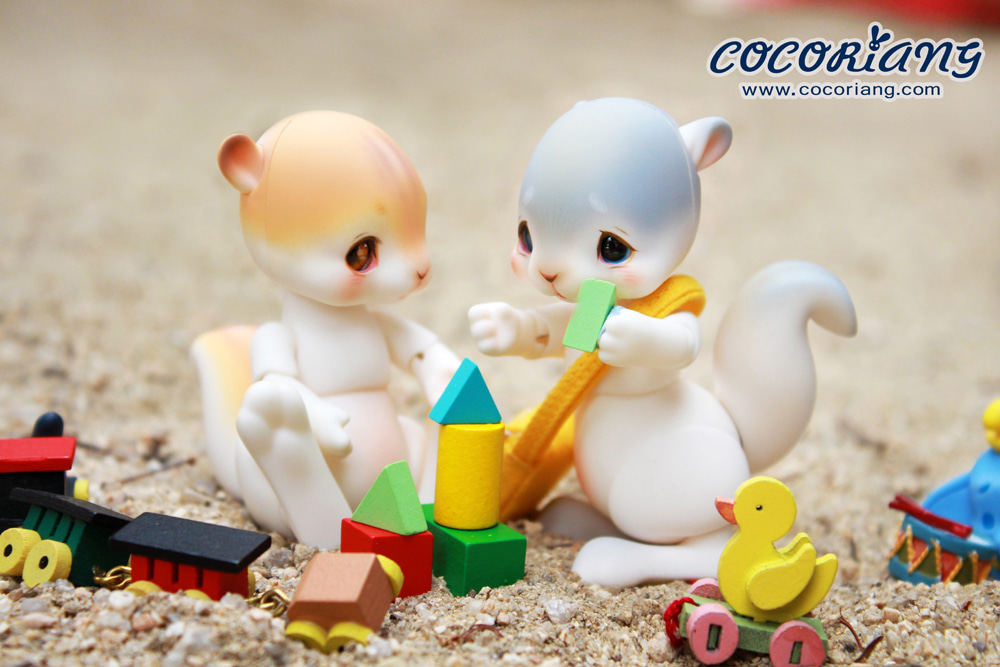 cocoriang cheeriya