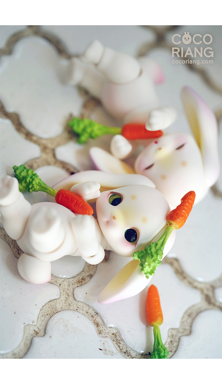 cocoriang groomy