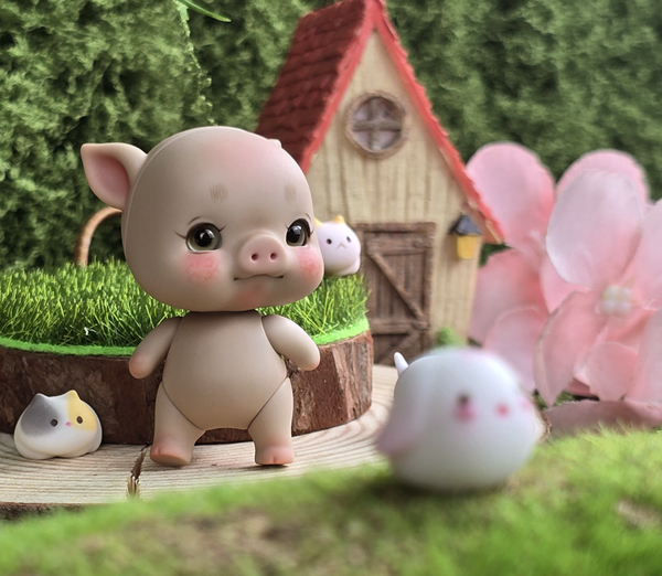 lati orange pet don don pig