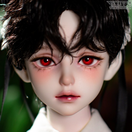 luts senior delf muse elliot